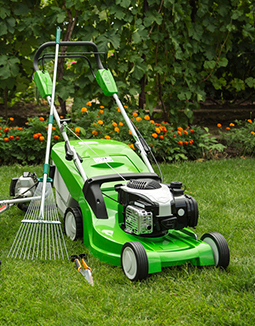 Top Gardening Services in Melbourne